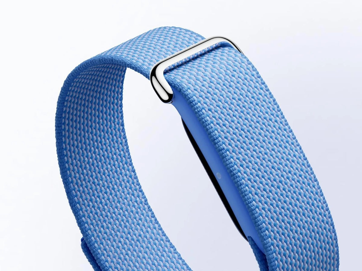 Google Fitbit Air