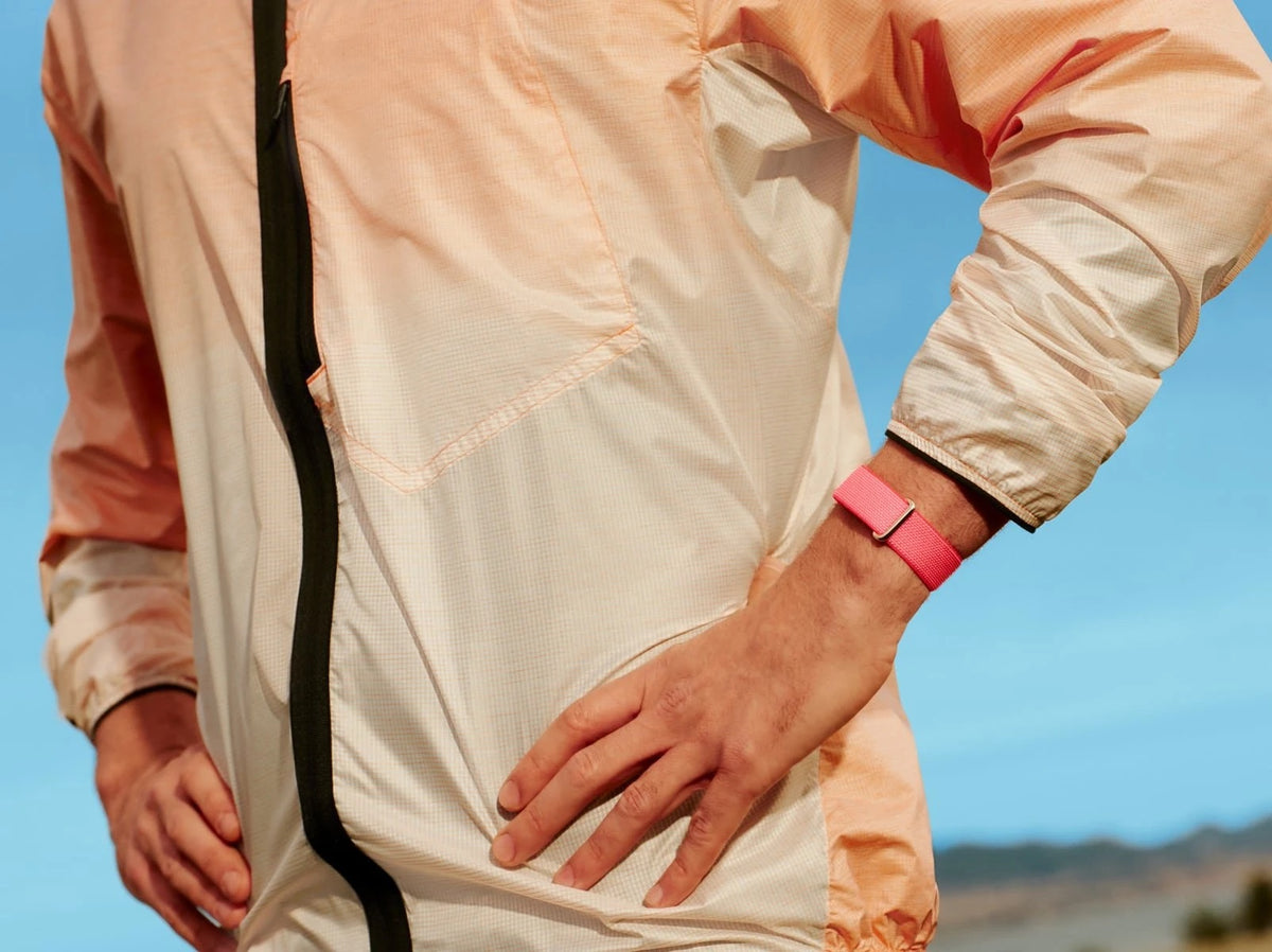 Google Fitbit Air
