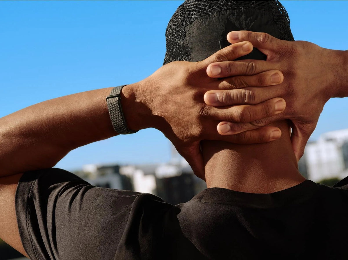 Google Fitbit Air