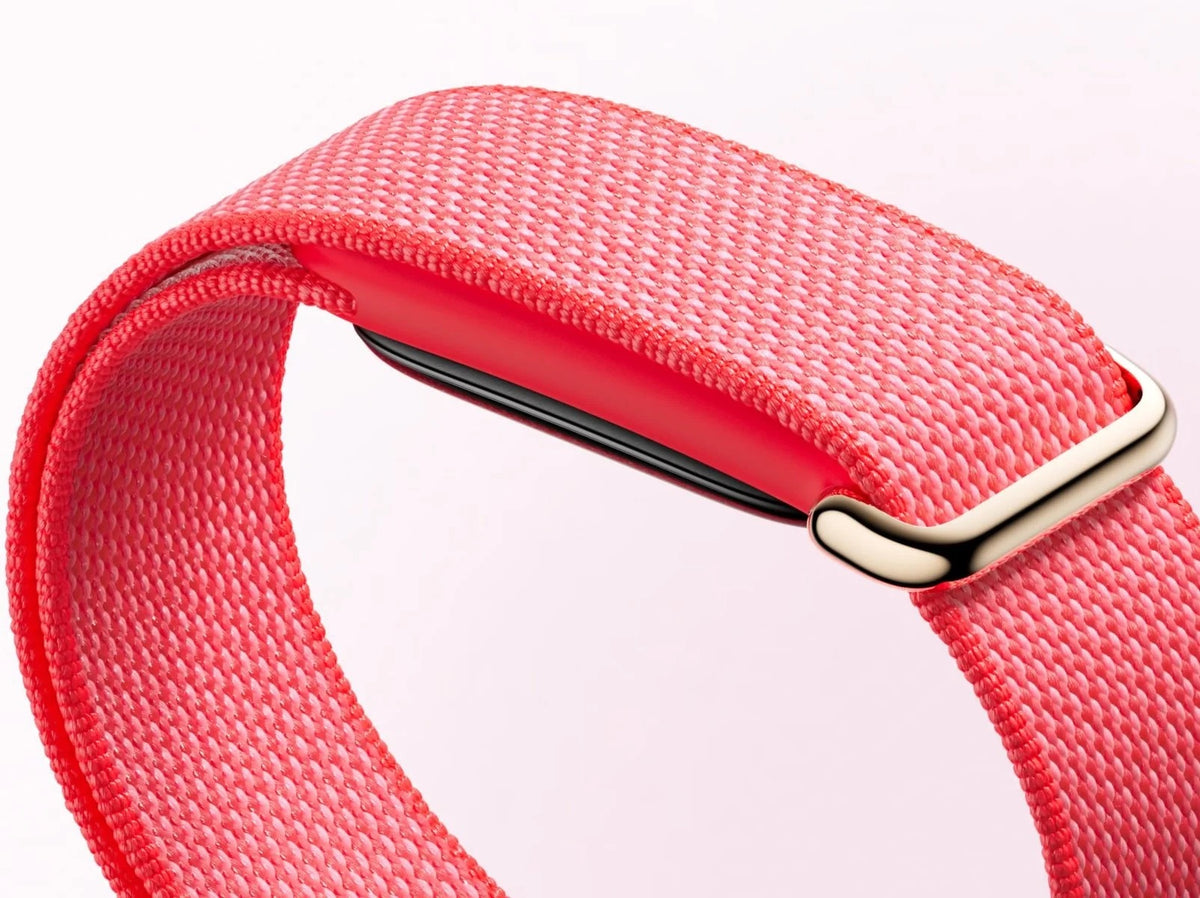 Google Fitbit Air