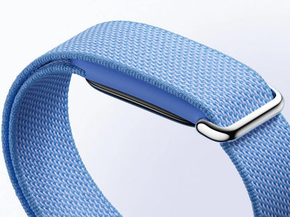 Google Fitbit Air