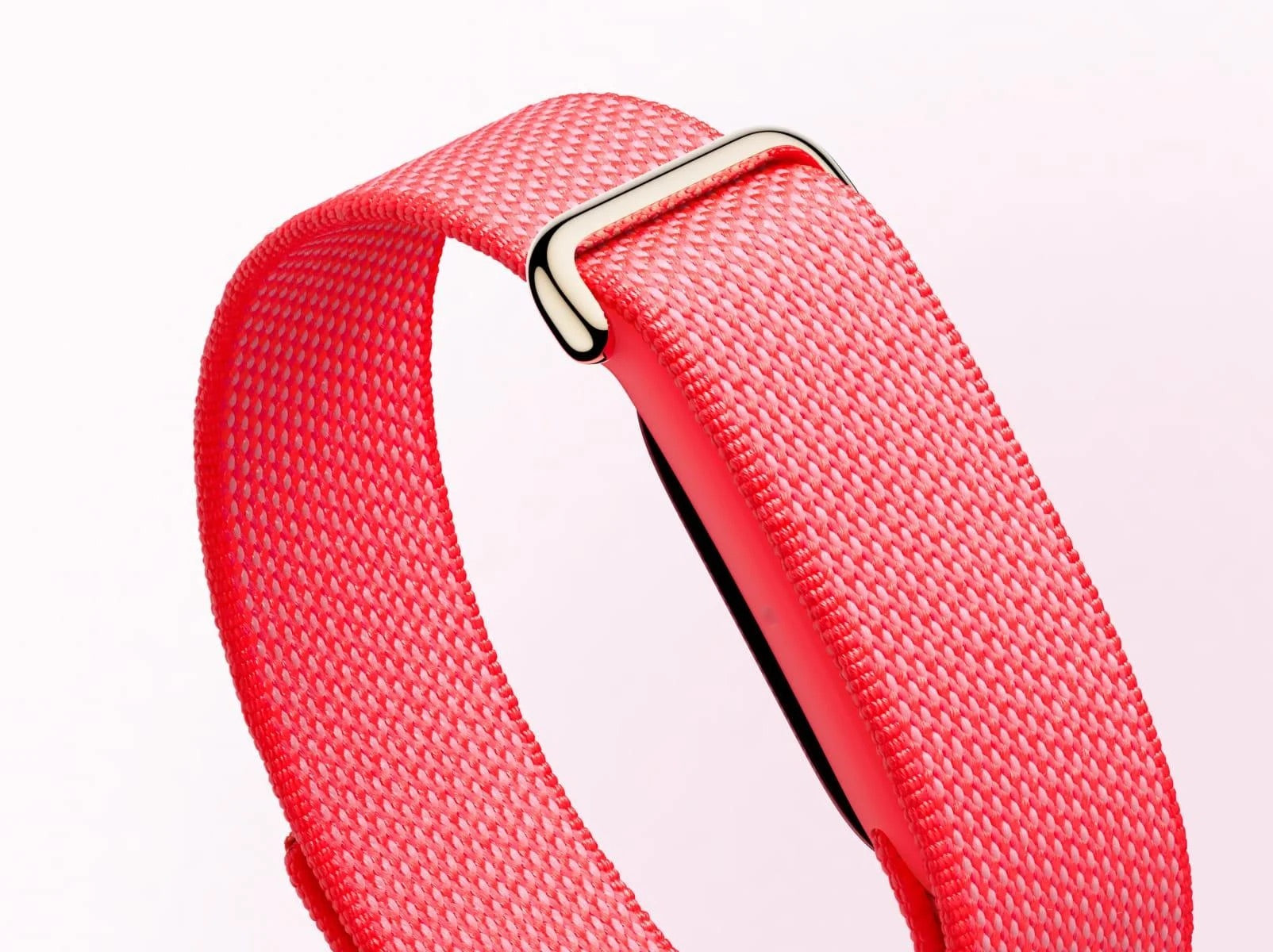 Google Fitbit Air