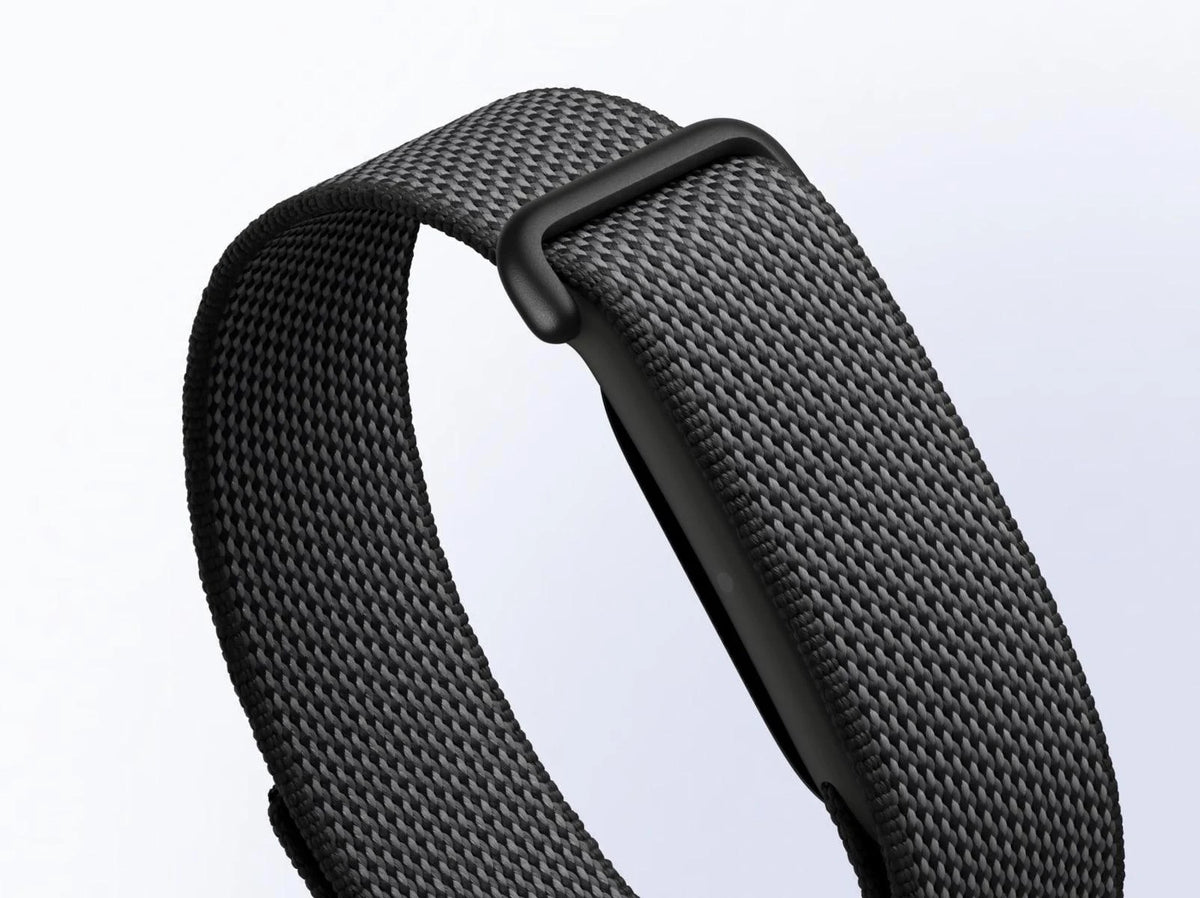 Google Fitbit Air